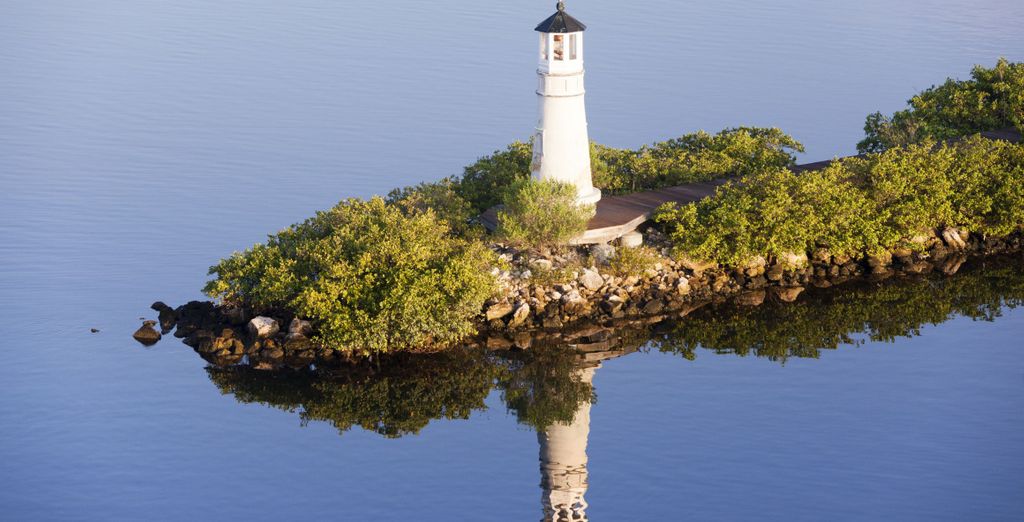 Autotour: Sotto il sole della Florida