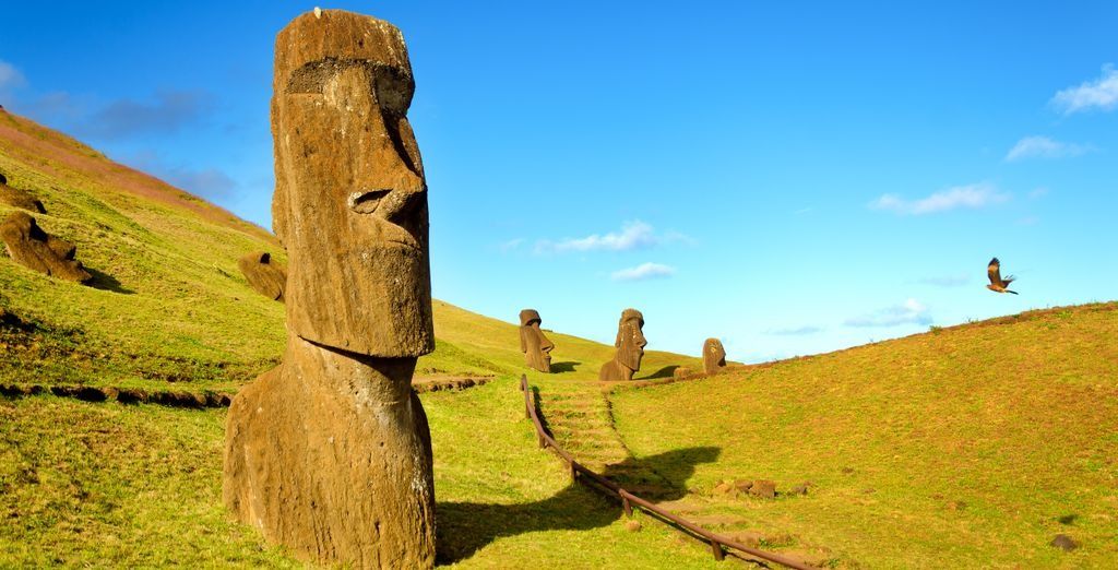 Private Tour durch Chile