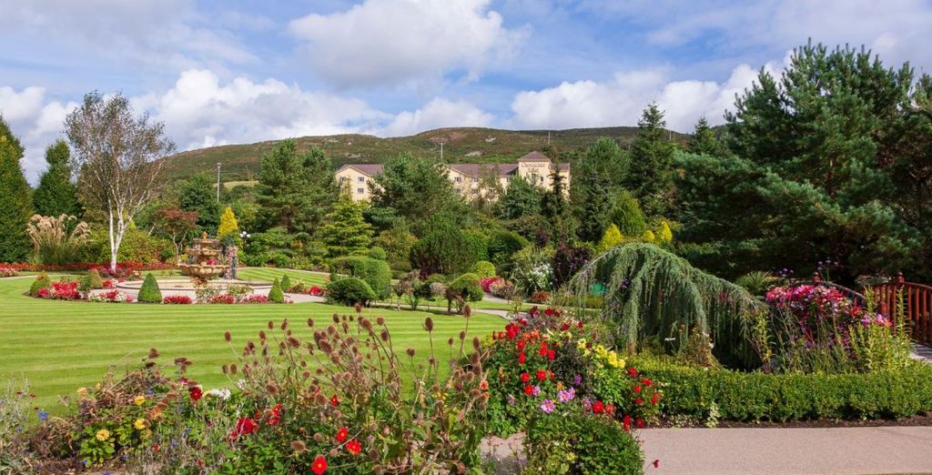 Autotour por Irlanda en 7 noches