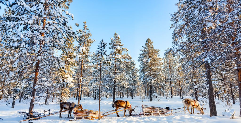 Suomu Chalets 4*