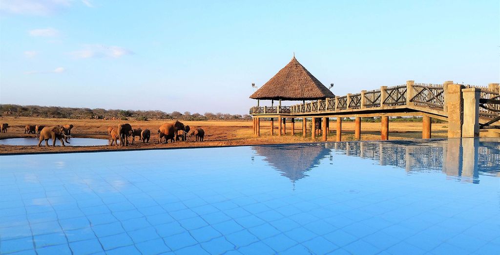Neptune Paradise Beach Resort & Spa 4* ed eventuale safari