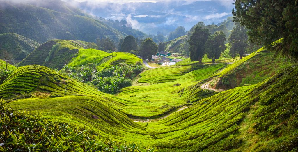 AC by Marriot Kuala Lumpur 4*, Cameron Highlands Resort 5* e Pangkor Laut Resort 5*