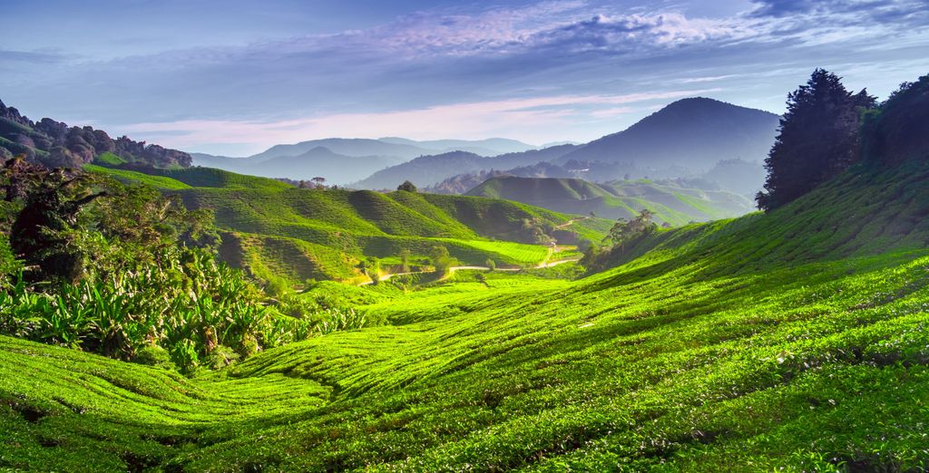 Tour privato: La Malesia incantata da Kuala Lumpur a Langkawi