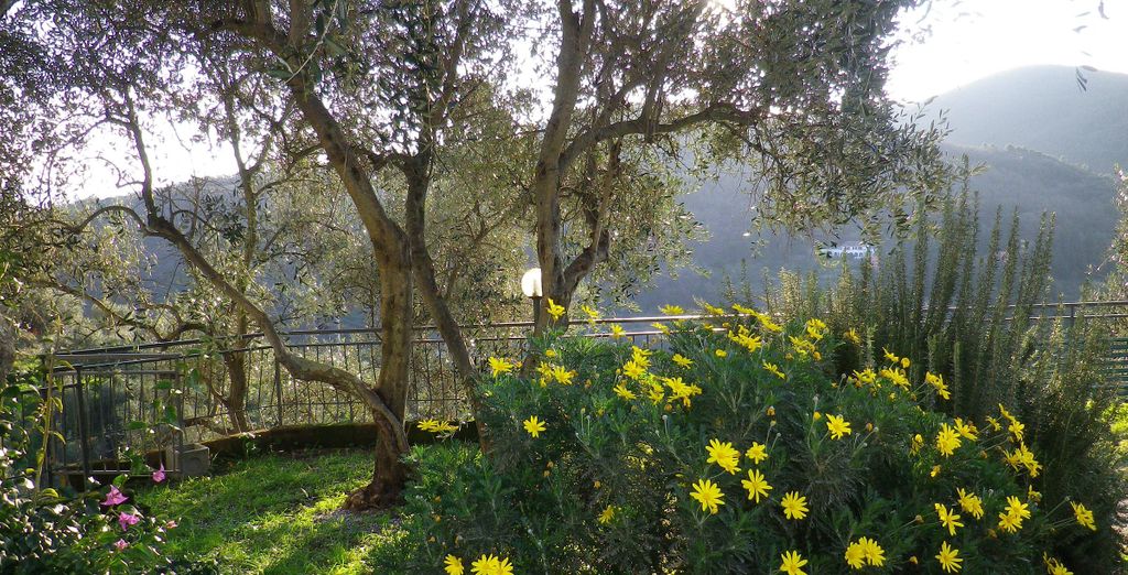 Albergo Serena 