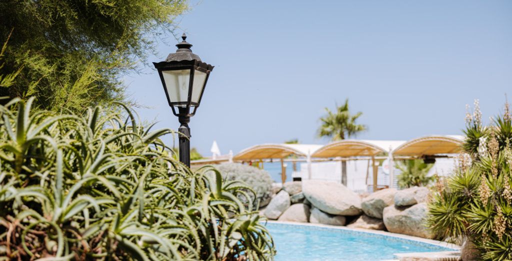 Nicolaus Club Solemare