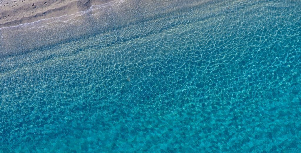Nicolaus Club Solemare