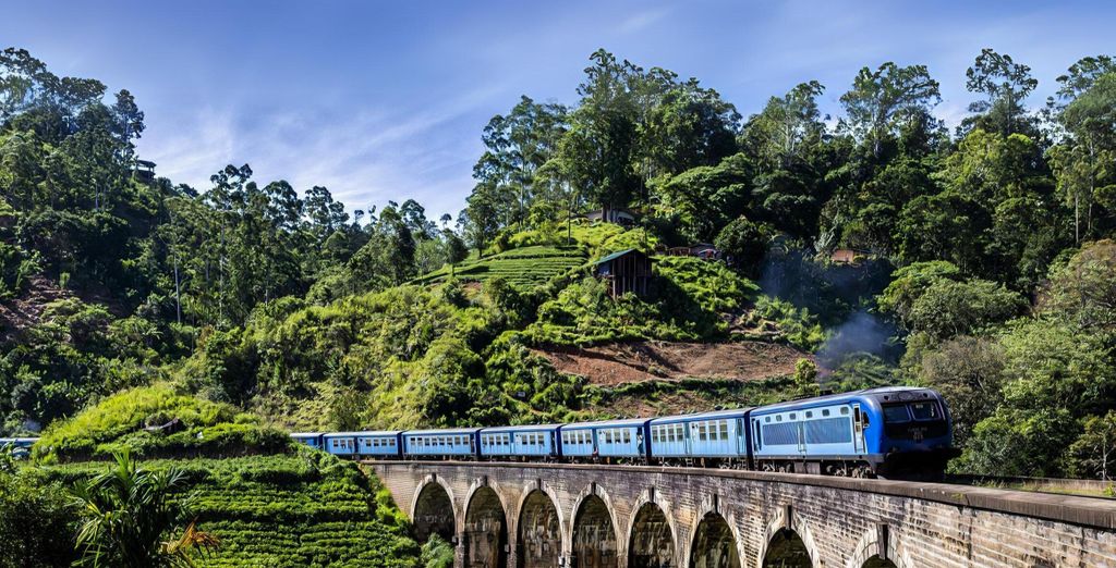 Tour privato: I colori dello Sri Lanka