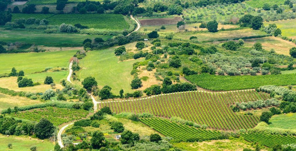 Il Podere di Marfisa