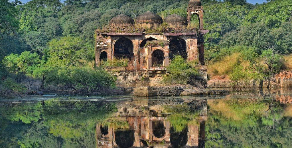 Tour privato: Il meglio del Rajasthan