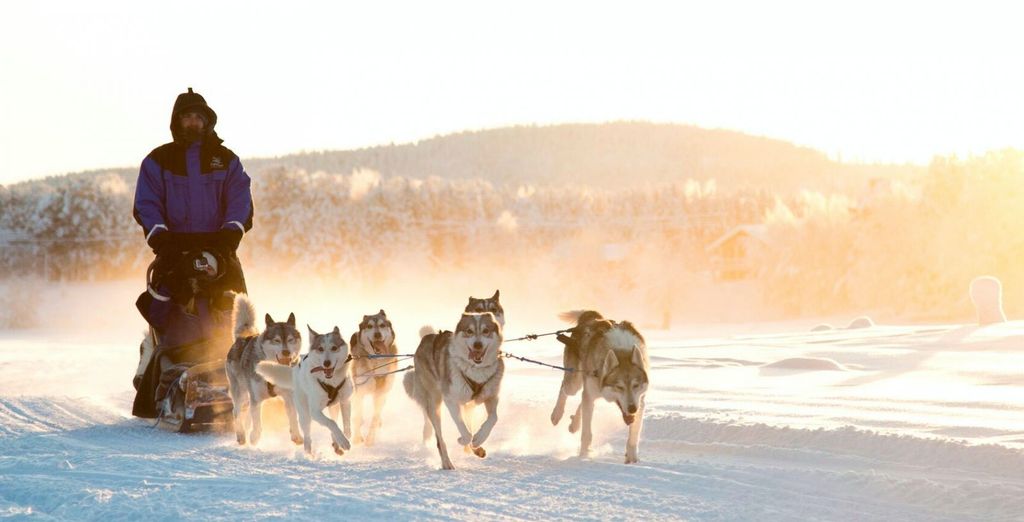 Soggiorno multi-attività: Northern Lights Village 4*