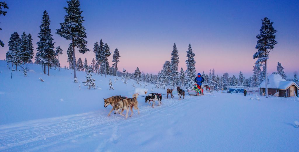 Soggiorno multiattività: Nordic Lapland Resort 
