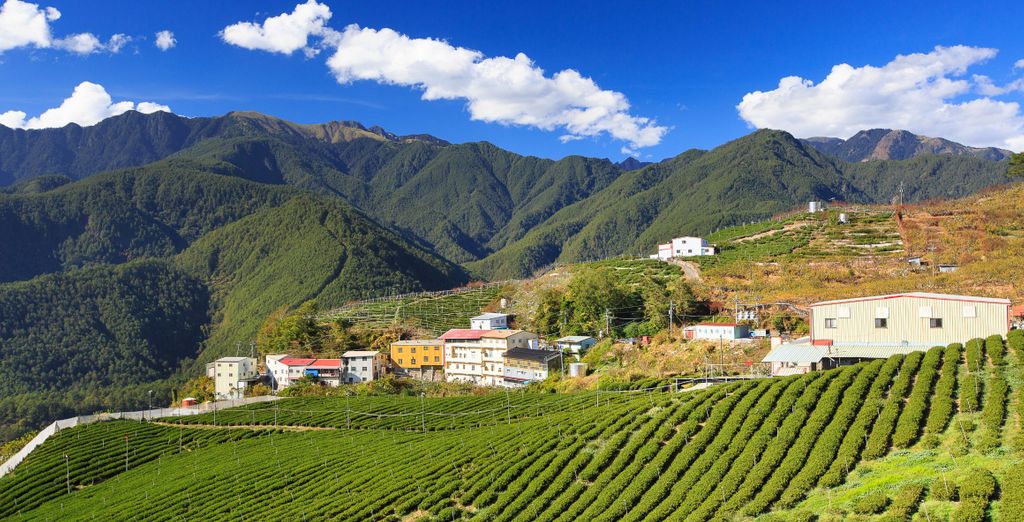 Soggiorno in libertà: Alla scoperta del Giappone e di Taiwan