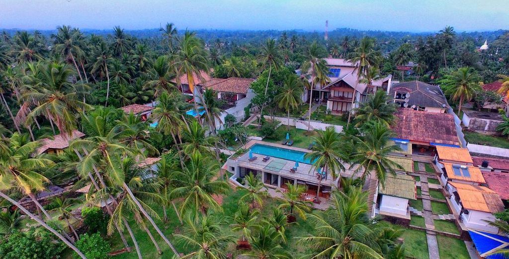 Tour privato: I colori dello Sri Lanka