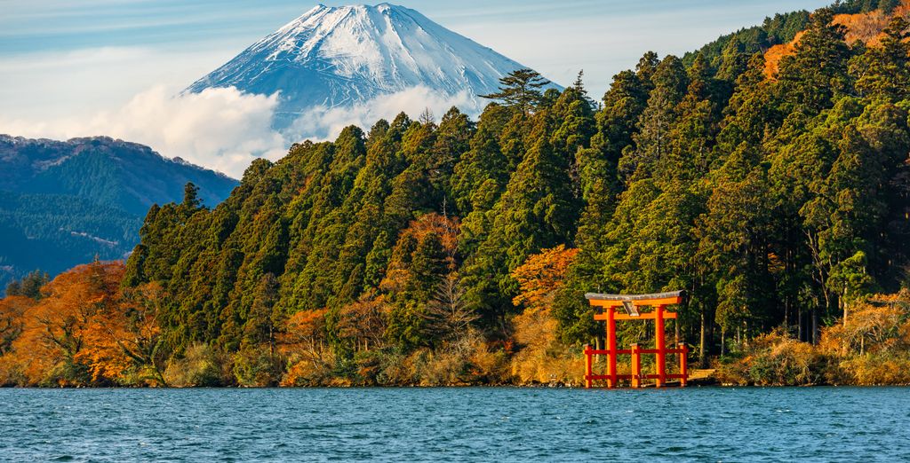 Soggiorno in libertà: Tra ciliegi in fiore nella terra dei samurai 