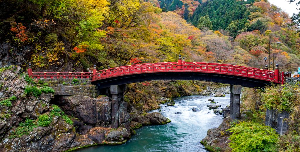 Soggiorno in libertà: Tra ciliegi in fiore nella terra dei samurai 