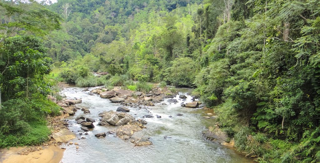Tour privato: Immersione nella natura con estensione in spiaggia