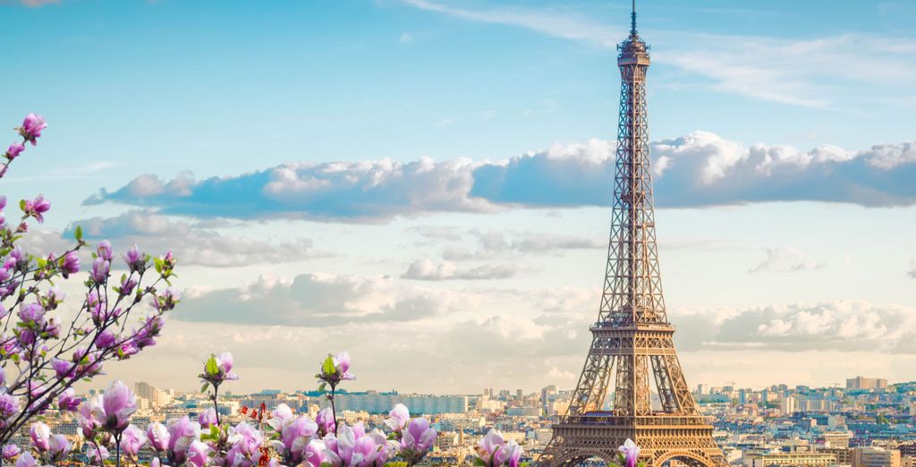 Mercure Paris Porte de Versailles Expo 4*