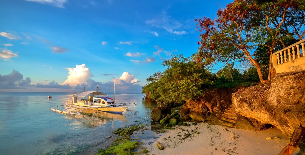 Tour privato: Incanto e stupore nella Visayas Centrale