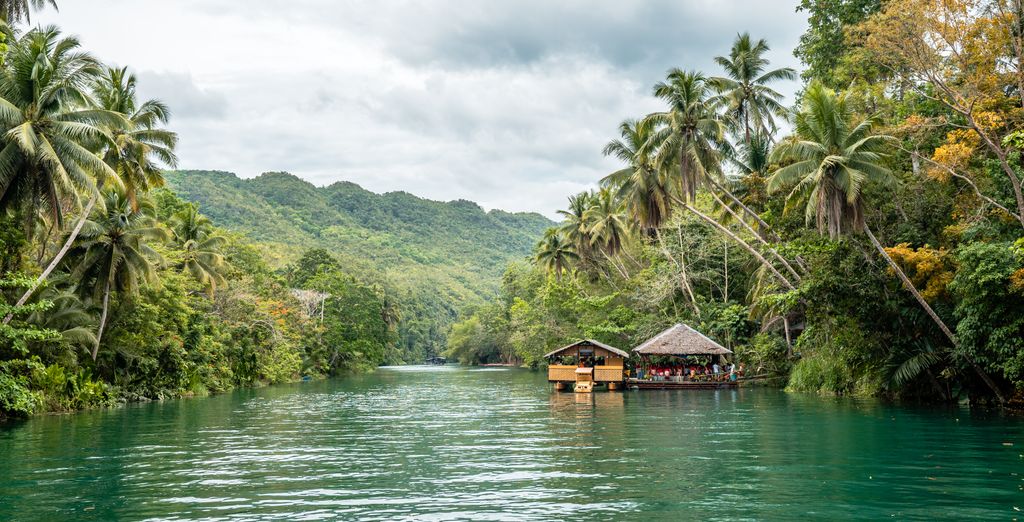 Tour privato: Incanto e stupore nella Visayas Centrale
