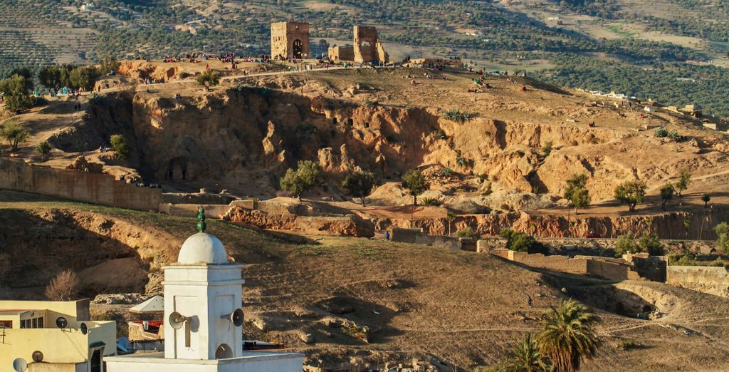 Tour di gruppo: Alla scoperta delle Città Imperiali