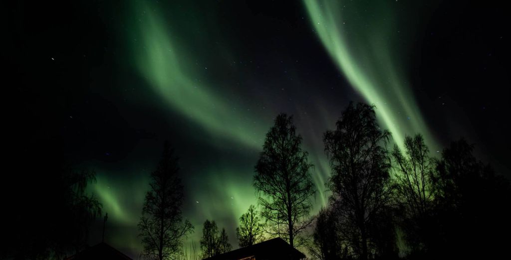Soggiorno multiattività: Nordic Lapland Resort 