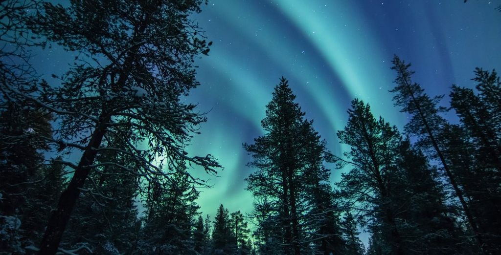 Soggiorno multi-attività: Northern Lights Village 4*