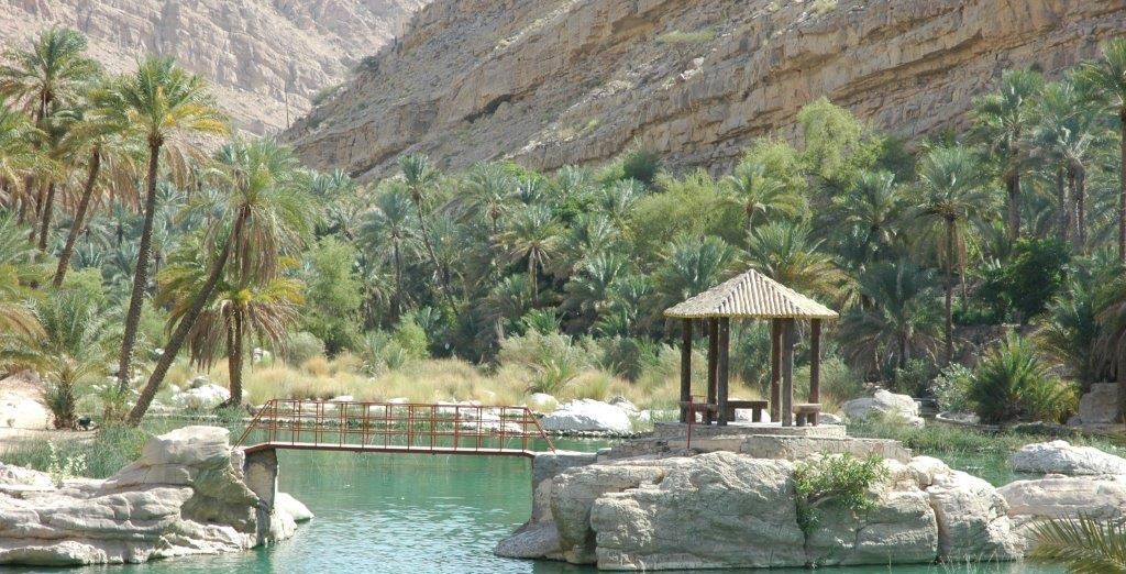 Tour privato: Alla scoperta dell'Oman e possibile estensione nella capitale