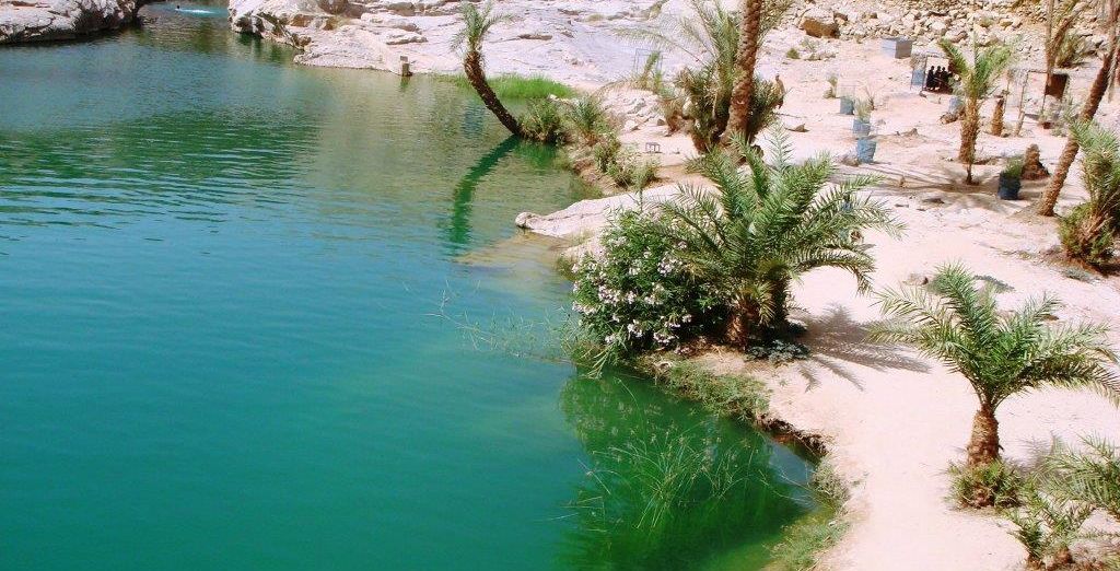 Tour privato: Alla scoperta dell'Oman e possibile estensione nella capitale