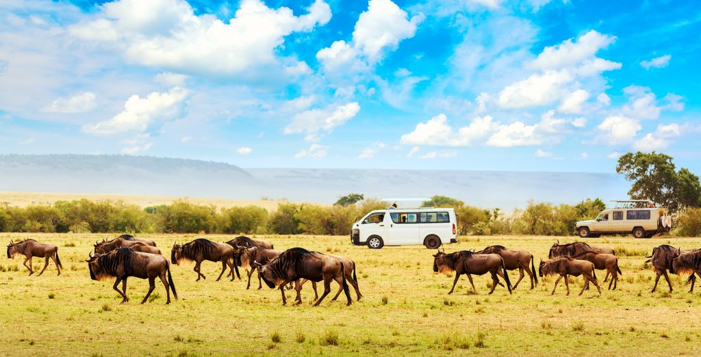 Autotour: Scoperta dei Big 5 con possibile estensione a Mauritius