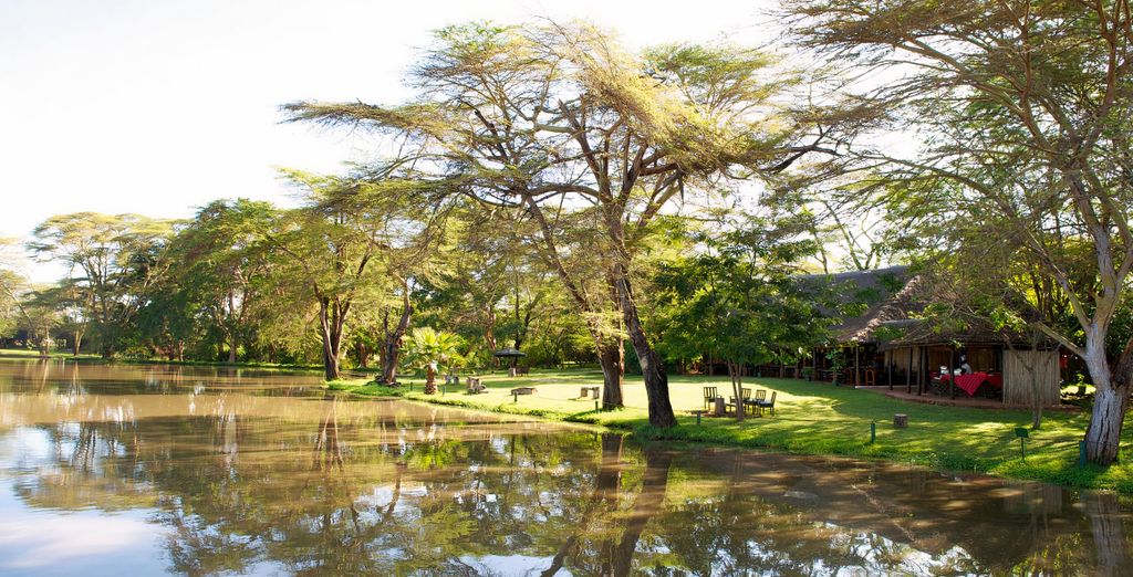 Pinewood Beach Resort & Spa 4* e Safari da 1 a 4 notti