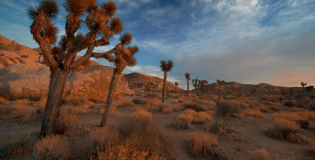 Tour in auto: Viaggio lungo la Route 66