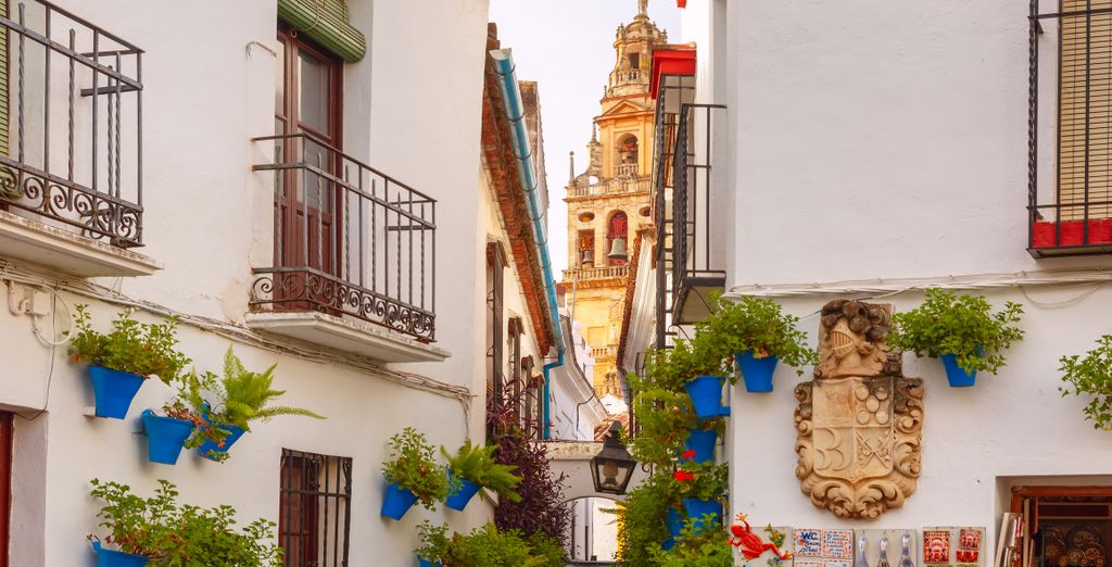 La Dehesa Experiences 5*