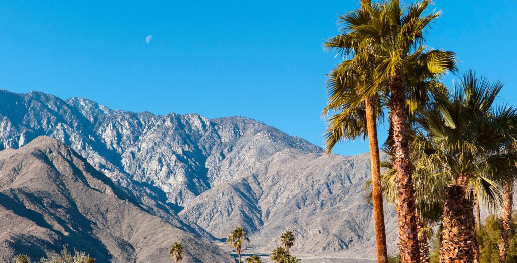 Autotour: Alla scoperta della West Coast