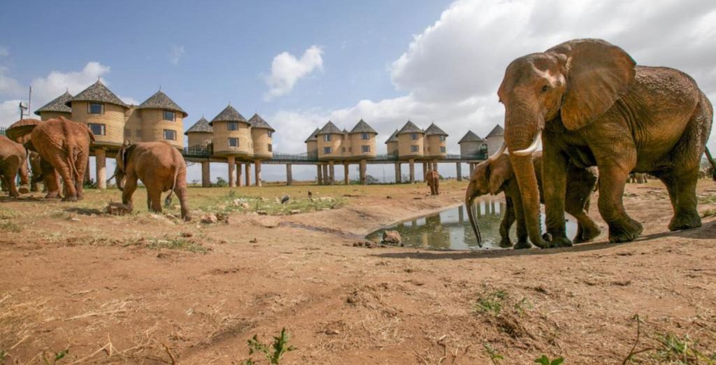 Pinewood Beach Resort & Spa 4* e Safari da 1 a 4 notti