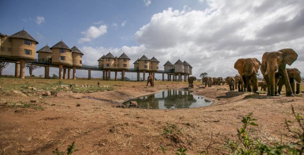 Neptune Village Beach Resort 4* con possibile safari