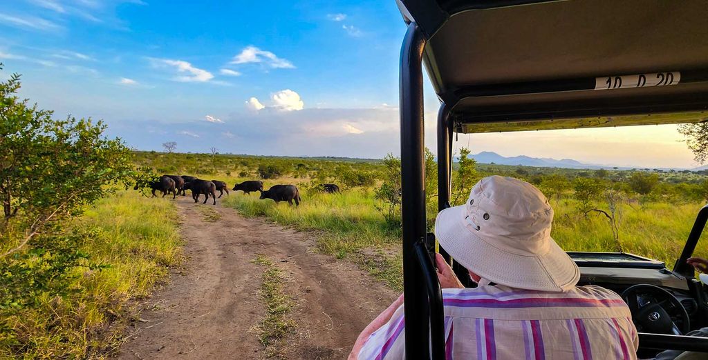 Autotour: Il patchwork sudafricano