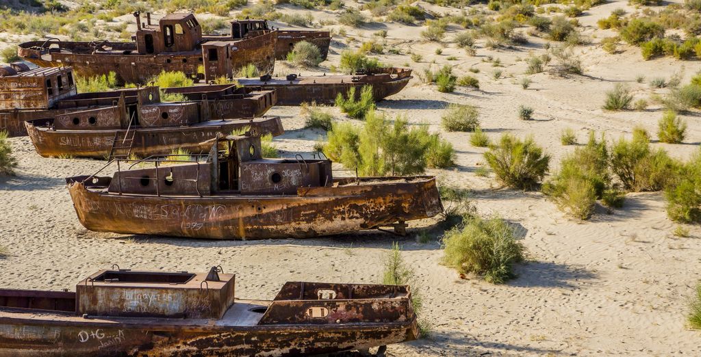 Tour privato: Tra il lago d'Aral e la Via della Seta