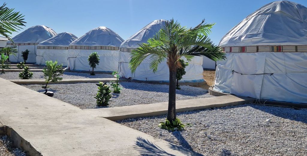Tour privato: Tra il lago d'Aral e la Via della Seta