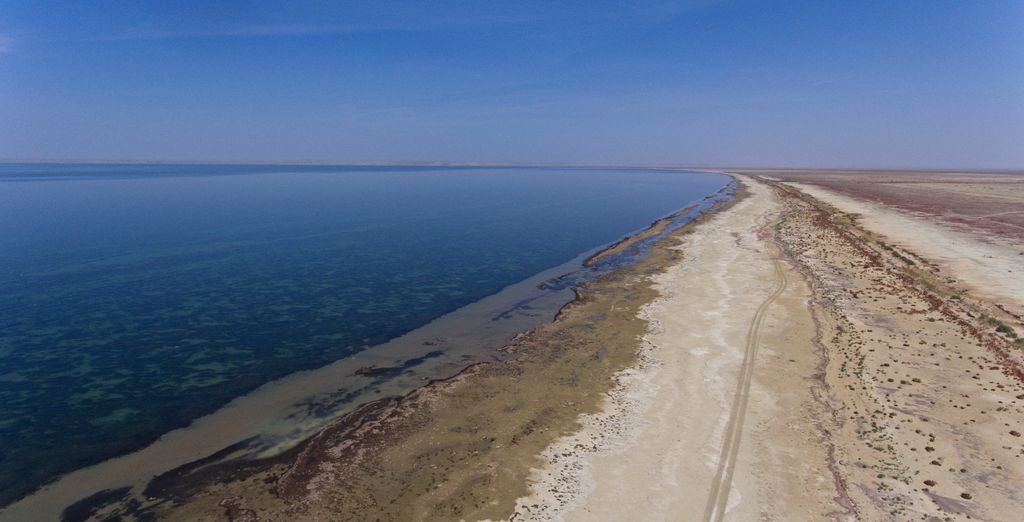 Tour privato: Tra il lago d'Aral e la Via della Seta