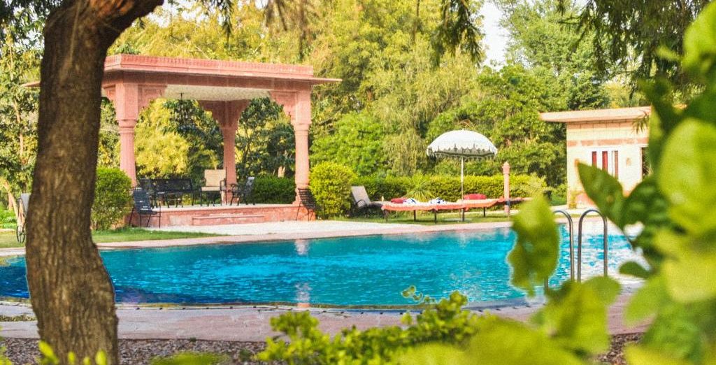 Tour privato: Il patrimonio culturale del Rajasthan