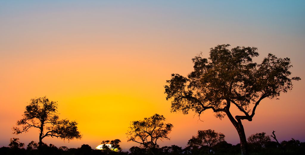 Skukuza Safari Lodge con estancia en Johannesburgo