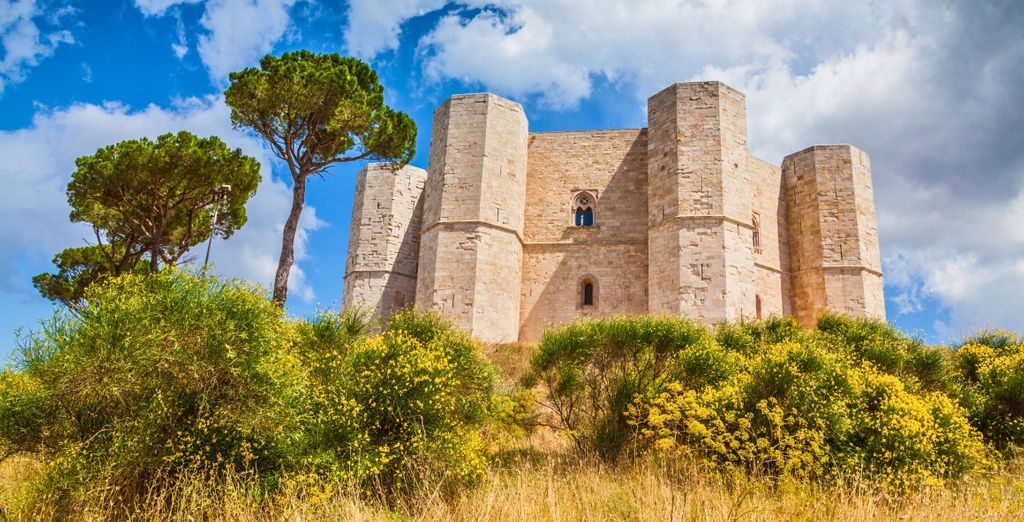 Apulia Hotel - Vigne al Castello 4*