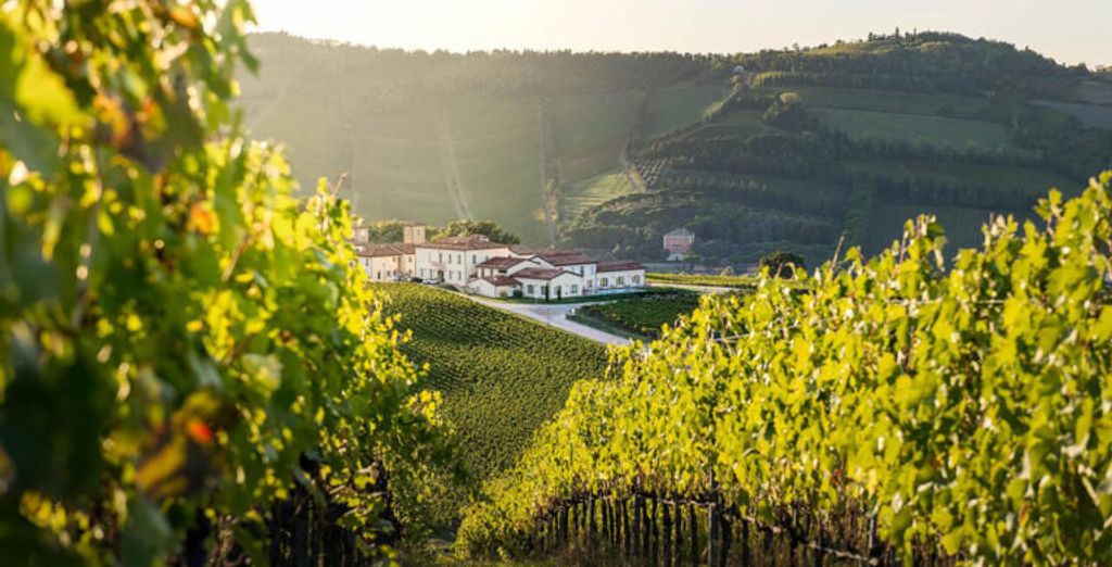 Borgo Condé Wine - Resort 4*