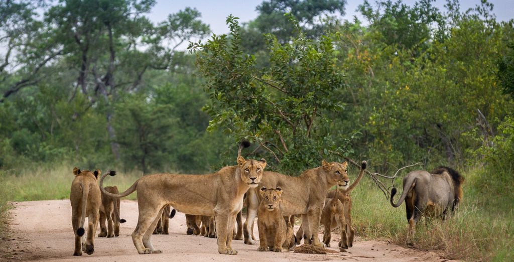 La Kruger Lifestyle Lodge 4*