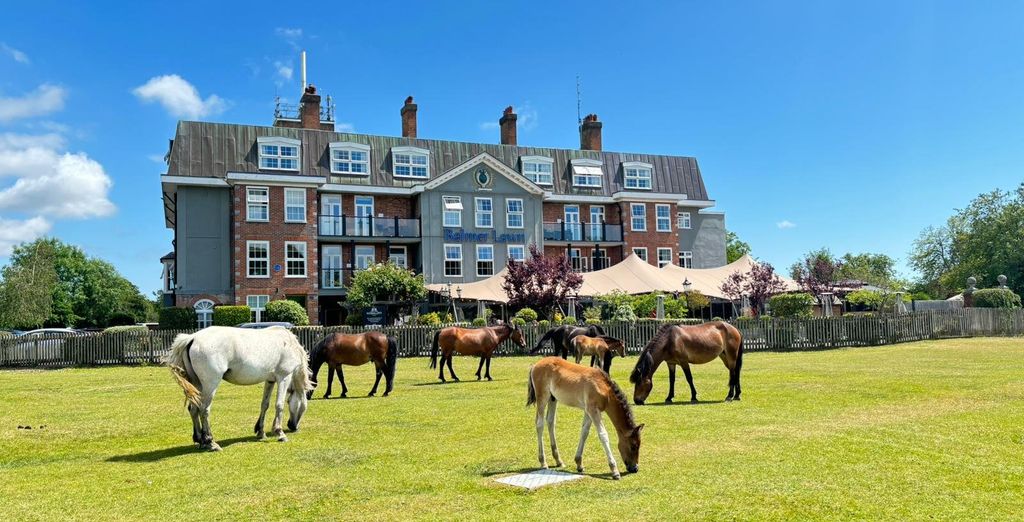 Balmer Lawn Hotel 4*
