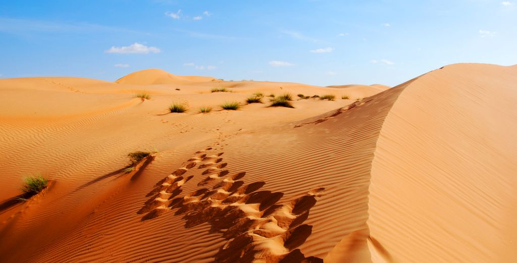 Tour privato: Bellezza senza tempo con possibile estensione balneare