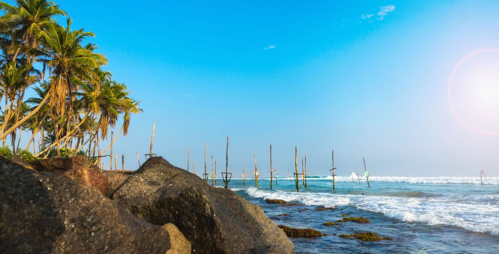 Tour privato: Immersione nella natura con estensione in spiaggia