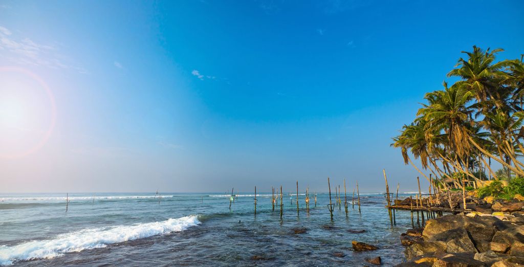 Tour privato: Immersione nella natura con estensione in spiaggia