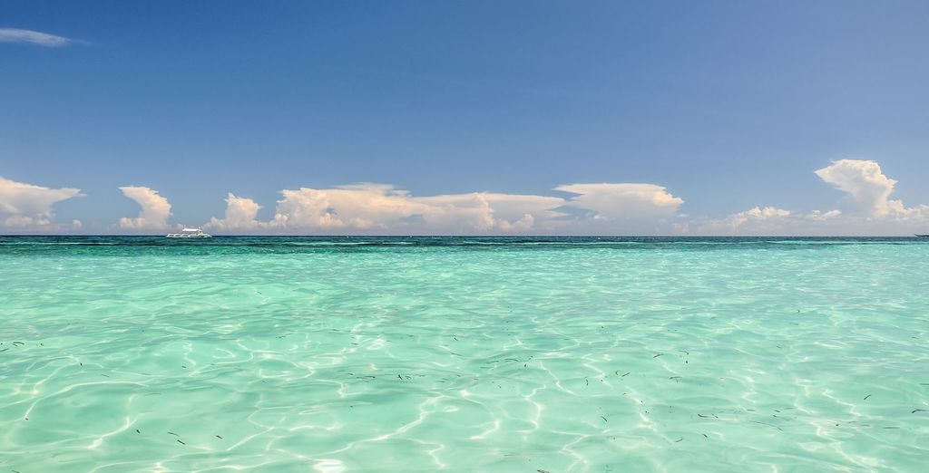 Tour privato: L'arcipelago delle Visayas tra natura e benessere