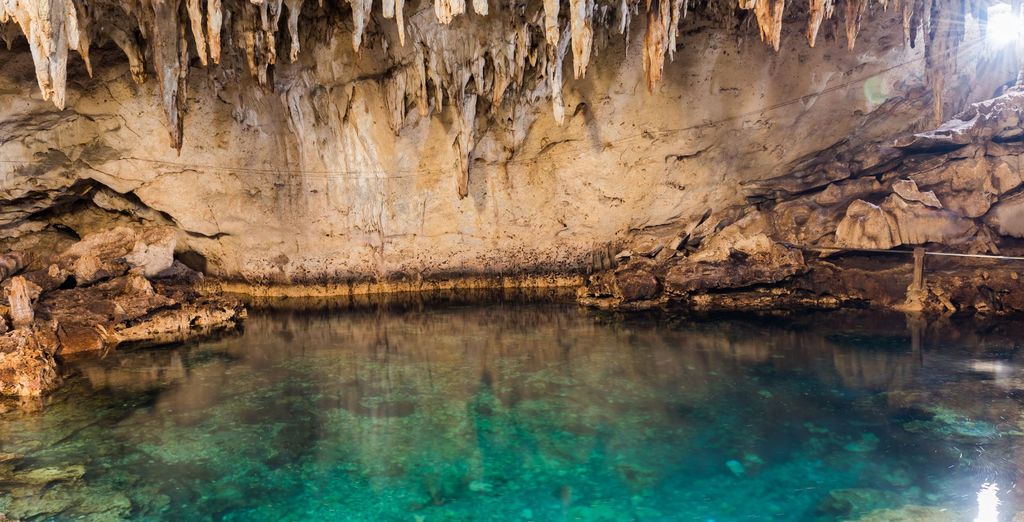 Tour privato: L'arcipelago delle Visayas tra natura e benessere
